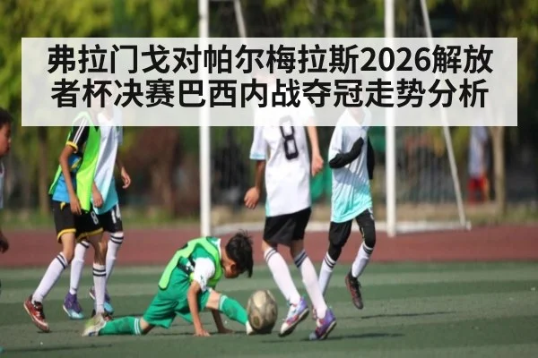 弗拉门戈对帕尔梅拉斯2026解放者杯决赛巴西内战夺冠走势分析